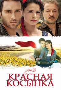 Красная косынка (2011) онлайн бесплатно