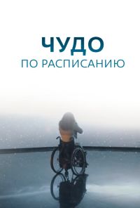 Чудо по расписанию (2016) онлайн бесплатно